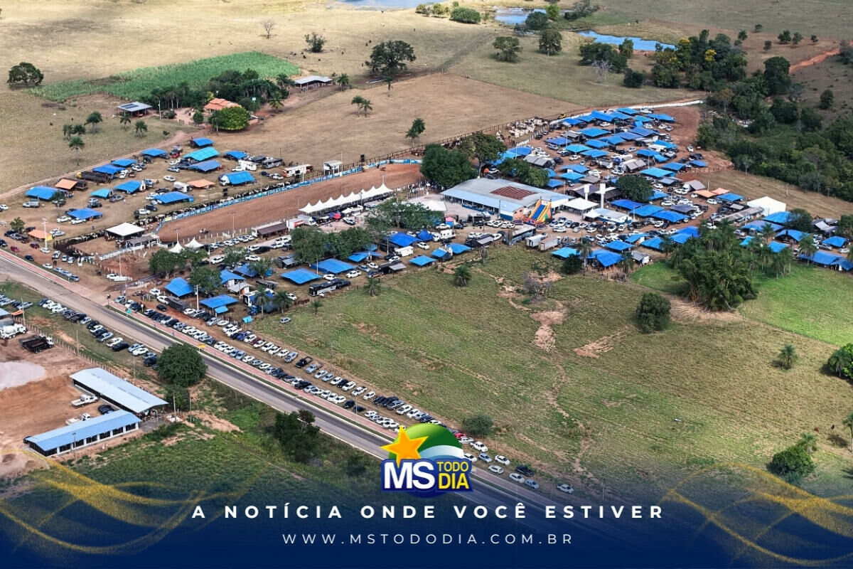 Imagem da Galeria